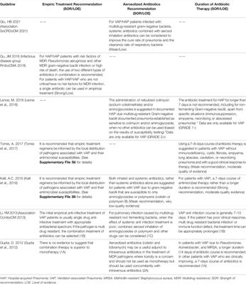 Management of Ventilator-Associated Pneumonia: Quality Assessment of Clinical Practice Guidelines and Variations in Recommendations on Drug Therapy for Prevention and Treatment